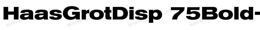 HaasGrotDisp 75Bold字体转换